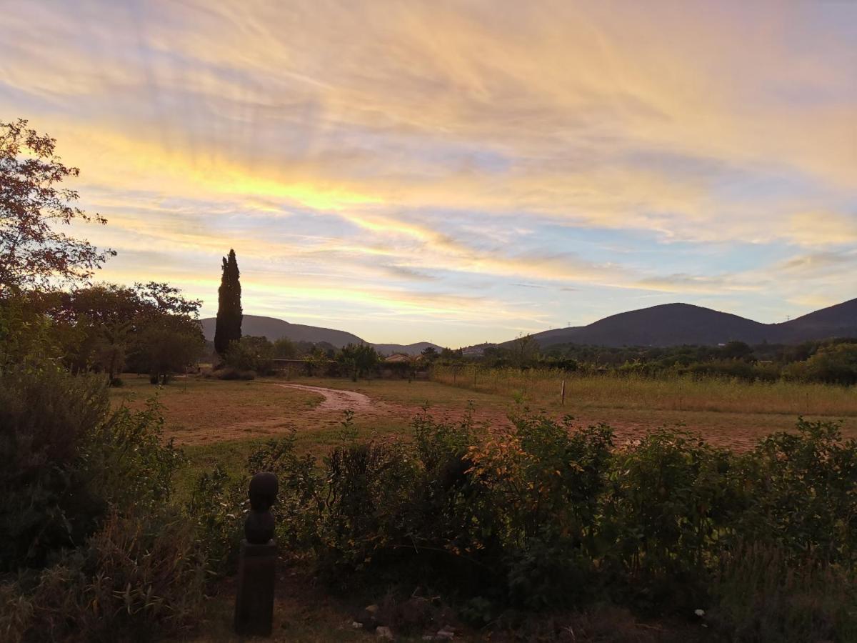 Le Clos De La Chardonniere Saulce-sur-Rhône エクステリア 写真