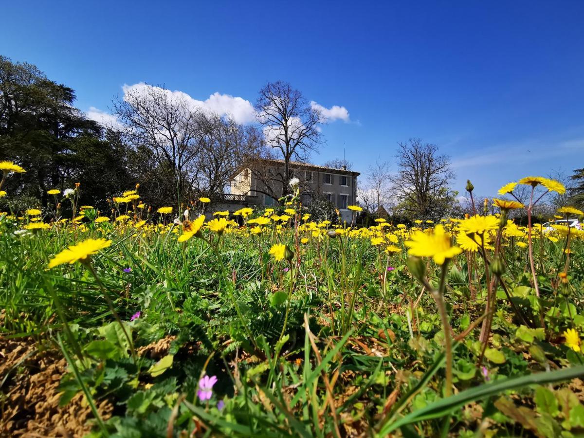 Le Clos De La Chardonniere Saulce-sur-Rhône エクステリア 写真