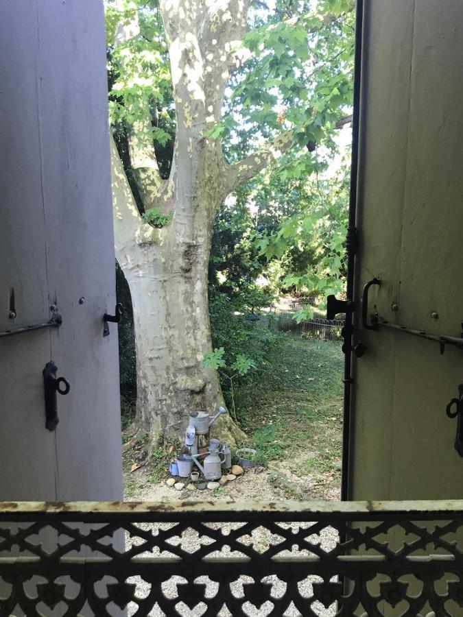 Le Clos De La Chardonniere Saulce-sur-Rhône エクステリア 写真