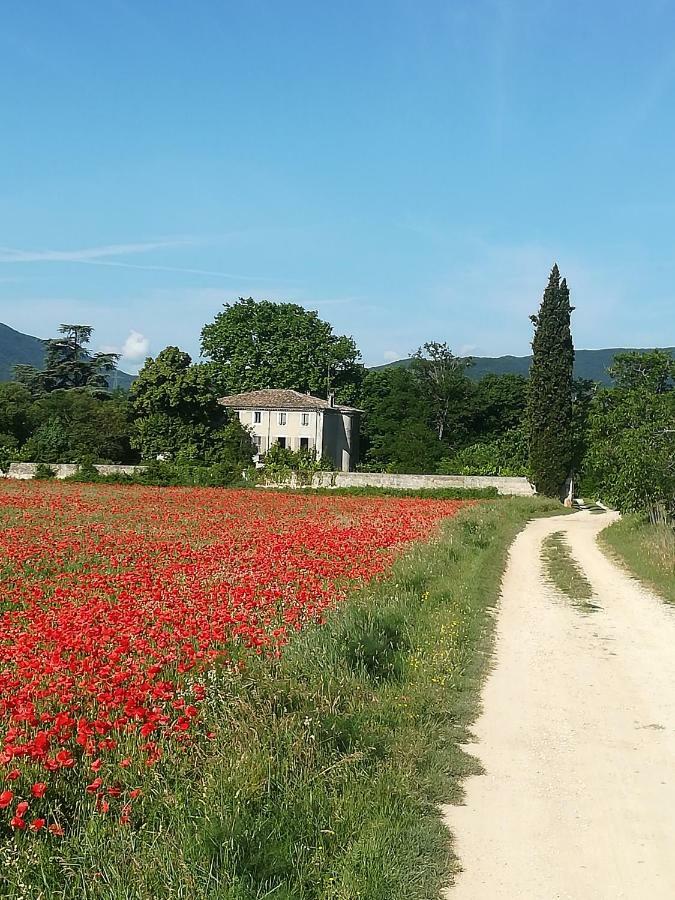 Le Clos De La Chardonniere Saulce-sur-Rhône エクステリア 写真